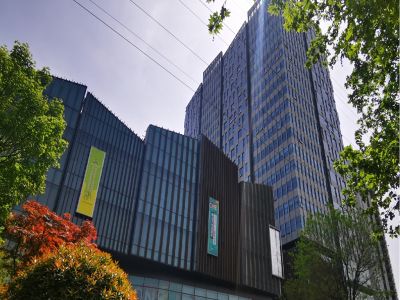 公开信息按发布时间滚动